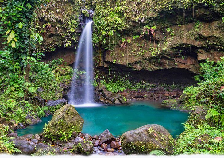 dominica-in-pictures-beautiful-places-to-photograph-emerald-pool