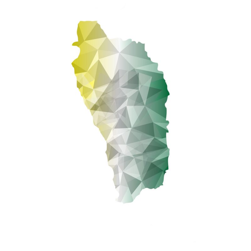 Vector isolated illustration icon  of Dominica map. Polygonal geometric style, triangular shapes. White background